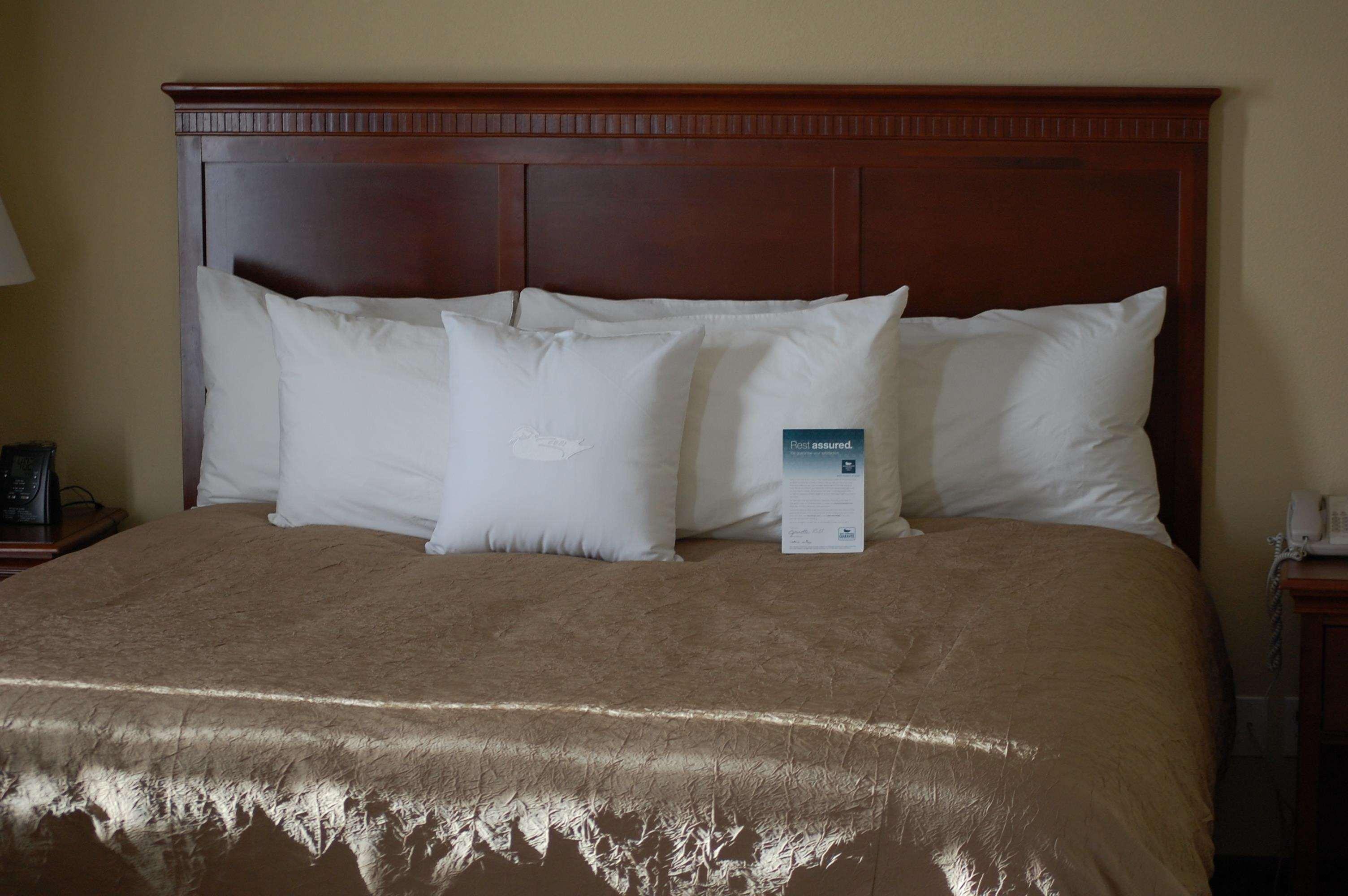 Homewood By Hilton Denver - Littleton